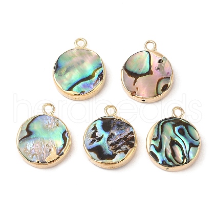 Natural Paua Shell Pendants SHEL-P017-23G-1