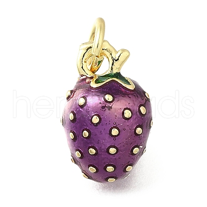 Brass with Enamel Charms KK-Q066-01I-G-1