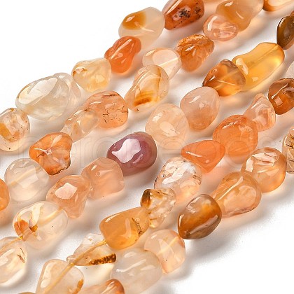 Natural Carnelian(Dyed & Heated) Beads Strands G-P497-01C-69-1