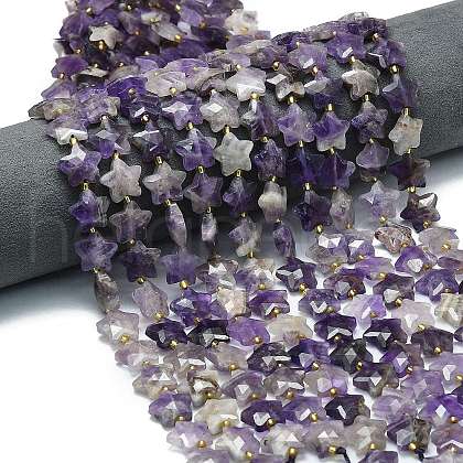 Natural Amethyst Beads Strands G-P573-C01-01-1