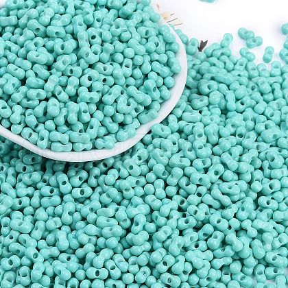 Baking Paint Glass Seed Beads SEED-K010-A19-1