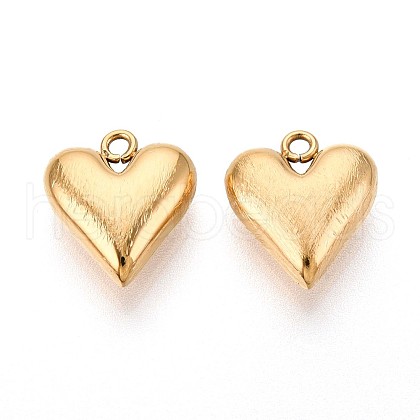 304 Stainless Steel Charms STAS-N109-177G-1