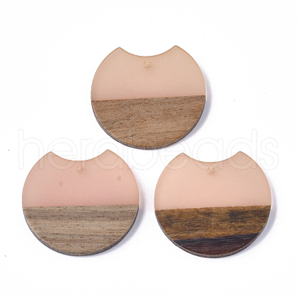 Resin & Walnut Wood Pendants RESI-T023-11E-1