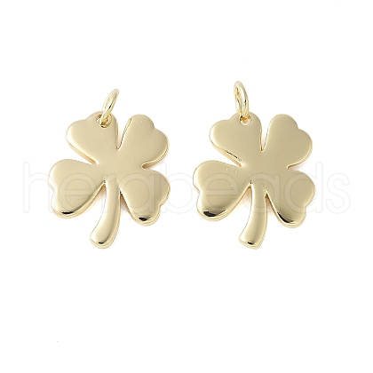 Brass Pendants KK-F892-13G-1