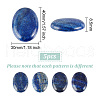   Natural Lapis Lazuli Flat Back Cabochons G-PH0002-22A-2