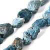 Natural Blue Apatite Beads Strands G-S386-C11-2