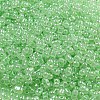 Ceylon Glass Seed Beads SEED-K009-02B-27-3