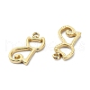 304 Stainless Steel Charms STAS-L022-358G-2