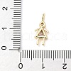 Brass Micro Pave Cubic Zirconia Pendants ZIRC-I356-17G-B04-3
