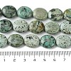 Natural Natural African Turquoise(Jasper) Beads Strands G-K365-B17-03-5