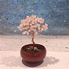 Natural Rose Quartz Chips Tree of Life Decorations WG91290-01-1