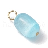 10Pcs 10 Colors Dyed Natural Selenite Column Pendants PALLOY-JF03123-4