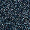 MIYUKI Round Rocailles Beads SEED-X0054-RR0455-3