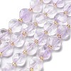 Natural Amethyst Beads Strands G-B094-A29-01-1