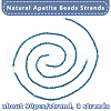 Olycraft 3 Strands Natural Apatite Beads Strands G-OC0003-01-4