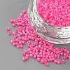 Baking Painted Glass Bugle Beads SEED-R042-10-1