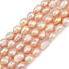 Natural Cultured Freshwater Pearl Beads Strands PEAR-P064-20J-03F-2