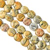 Flat Round Natural Crazy Lace Agate Beads Strands G-S110-05-2