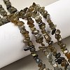 Natural Labradorite Beads Strands G-P332-23-7