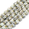 Natural Sesame Jasper Beads Strands G-I376-D61-01-1