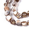 Natural Freshwater Shell Beads Strands SSHEL-N040-16-3