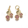 Brass Micro Pave Cubic Zirconia Charms ZIRC-I038-13G-1