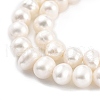 Natural Cultured Freshwater Pearl Beads Strands PEAR-C003-28-1