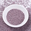 MIYUKI Delica Beads X-SEED-J020-DB0379-2