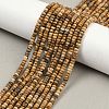 Natural Picture Jasper Beads Strands G-H292-A23-01-1