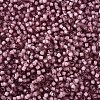 12/0 Grade A Round Glass Seed Beads SEED-N001-D-10/218-2