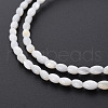 Natural Freshwater Shell Beads Strands X-SHEL-N027-08A-4