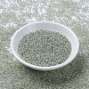 MIYUKI Round Rocailles Beads SEED-G007-RR3193-2