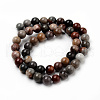 Natural America Picture Jasper Beads Strands G-Q462-58-8mm-2