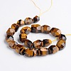 Nuggets Natural Tiger Eye Beads Strands G-D770-01-2