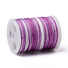 Segment Dyed Polyester Thread NWIR-I013-A-08-2