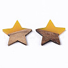 Transparent Resin & Wood Pendants RESI-T023-23-B02-2