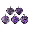 Natural Map Stone Pendants G-N0325-18E-2