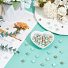 DICOSMETIC 2 Strands Natural Flower Amazonite Beads Strands G-DC0001-39-4