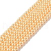 Eco-Friendly Dyed Glass Pearl Round Beads Strands HY-A002-4mm-RB072-1