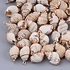 Electroplate Spiral Shell Pendants SSHEL-S261-10-1