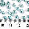 8/0 Glass Seed Beads SEED-A016-3mm-216-3