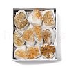 Natural Citrine Display Decorations G-H084-02B-1