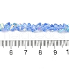 Transparent Glass Beads Strands EGLA-P061-04B-AB01-4