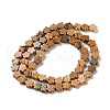 Natural Picture Jasper Beads Strands G-B138-C09-01-3