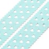Polyester Ribbon DIY-R050-01D-2