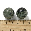 Natural Rhyolite Jasper Round Ball Figurines Statues for Home Office Desktop Decoration G-P532-02A-11-3