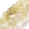 Raw Rough Natural Lemon Quartz Beads Strands G-P528-A02-01-1