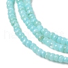 Natural Freshwater Shell Beads Strands SHEL-P017-01B-03-3