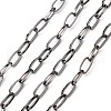 Iron Paperclip Chains CH-R025-13x6mm-B-1