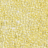 Glass Seed Beads X-SEED-S042-11A-05-3